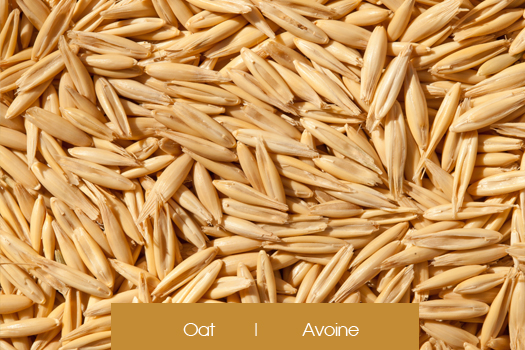 Oat